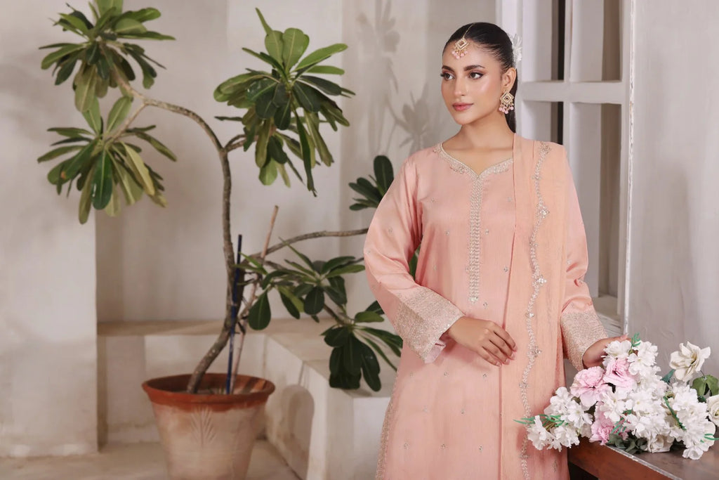 Serene Blush | 3 Piece Stitched Suit